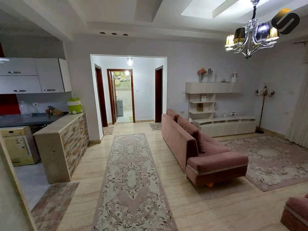 مشروع الموز 12